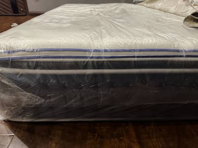 Brand‑New Molty Celeste Eterna Soft King Size Mattress — Company Seale