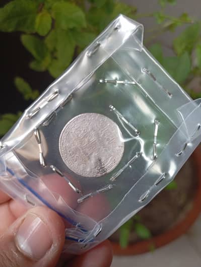silver coins
