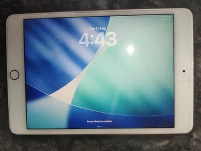 ipad mini 5 64gb