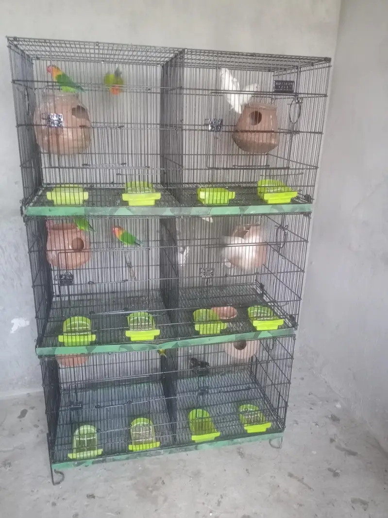 Ghar ka ha — photo 4
