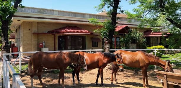 FOR RENT 23 Kanal Beautiful Farmhouse Chak Shahzad