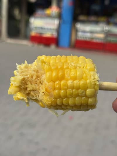 Slightly Used Corn On The Cob