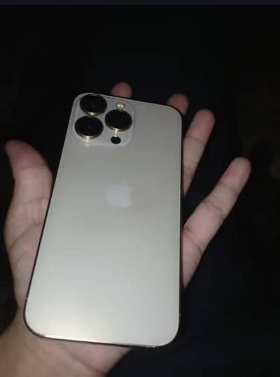 Apple iPhone 13 Pro