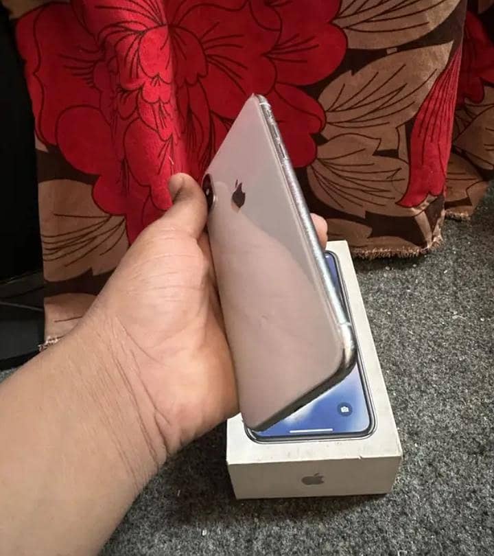 Apple iPhone X 1