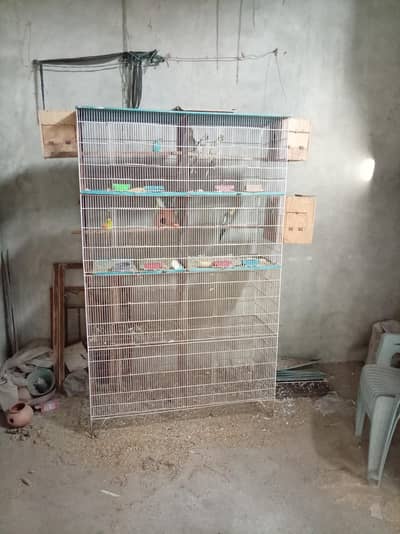Cage and Parrots