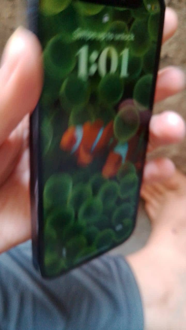 Apple iPhone 12 mini 0