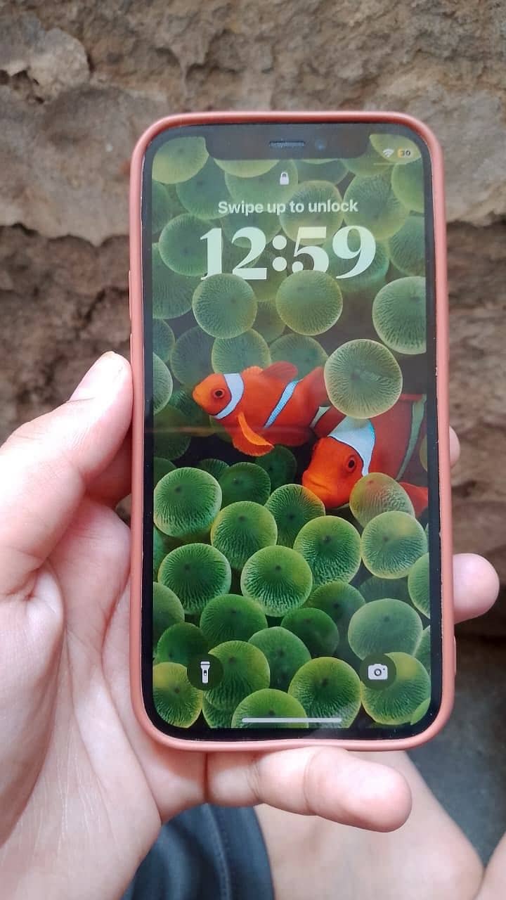 Apple iPhone 12 mini 1