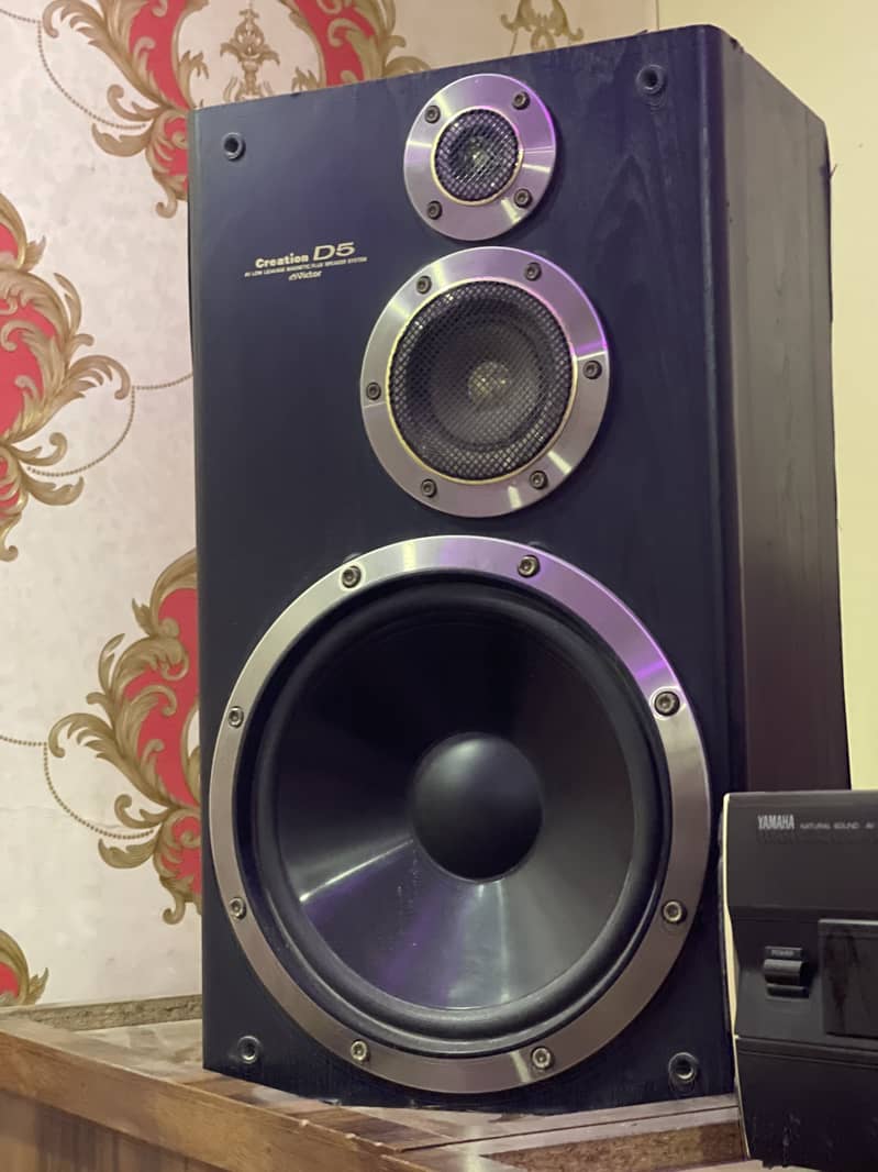 D 5 speaker 1