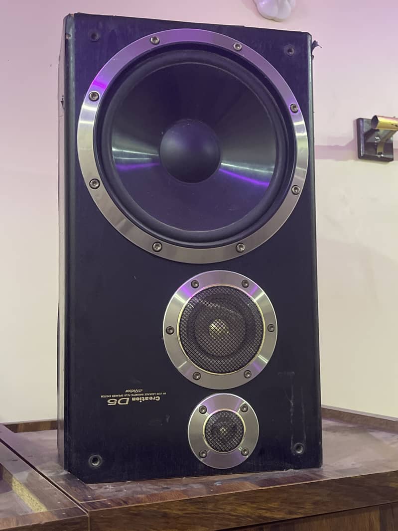 D 5 speaker 2