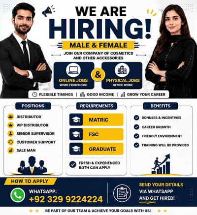 Need STAFF in office working