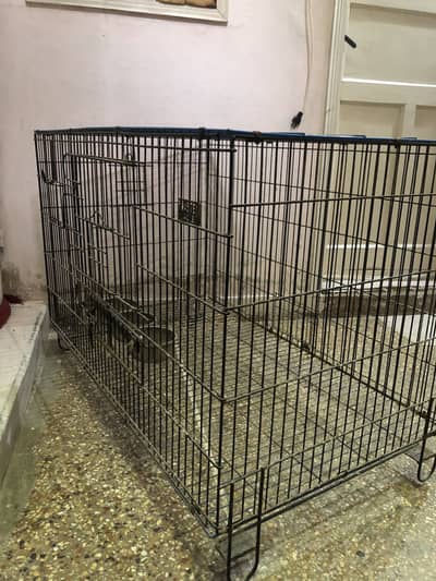 Master Cage (Raw parrots , Ringneck and others)
