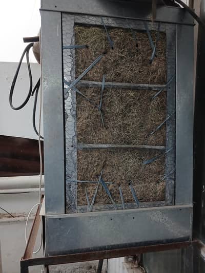 Air cooler