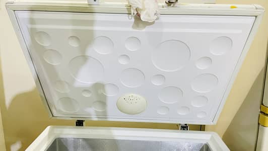 Haier single door