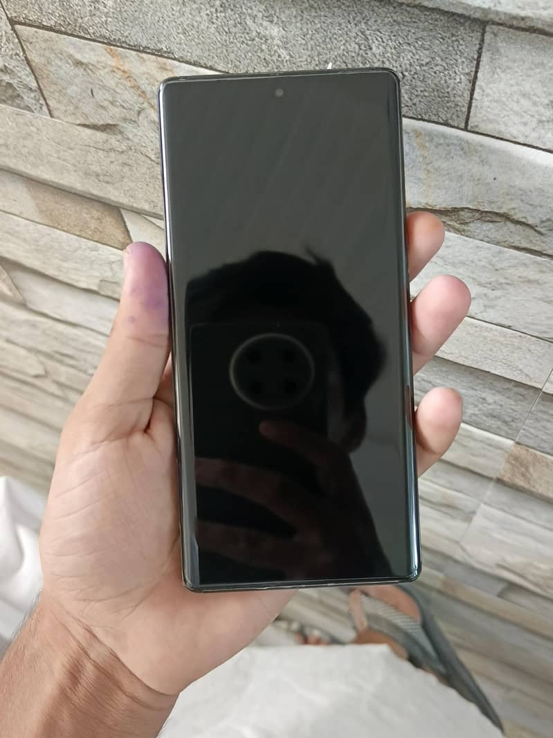 Google Pixel 6 Pro 1