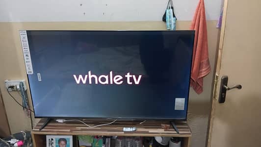 INFINIX Whale Tv 55”Inch For sale