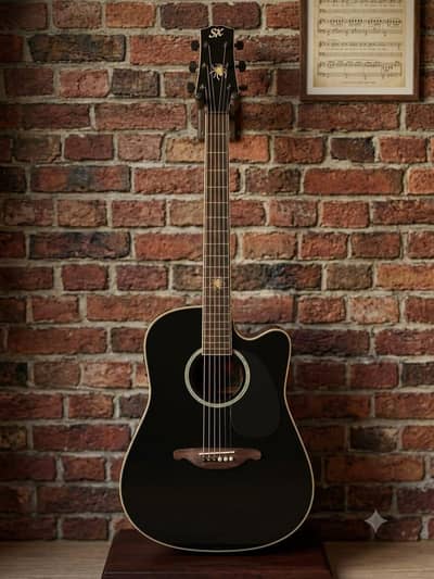 SX guitar urgent Sale
