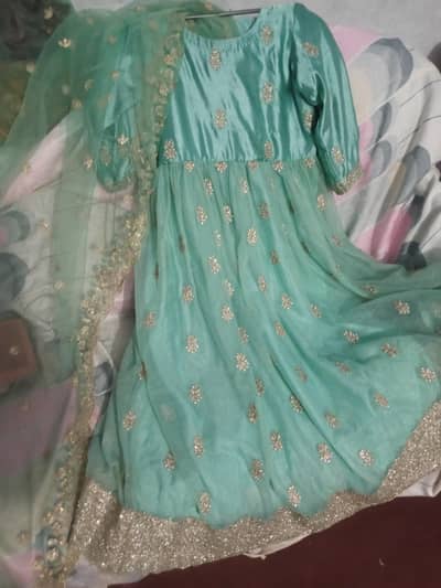 beautiful embroided dress. . .