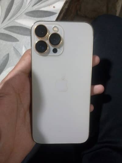 Apple iPhone 13 Pro Max