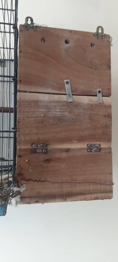 Breeder Pair With Breeding Box