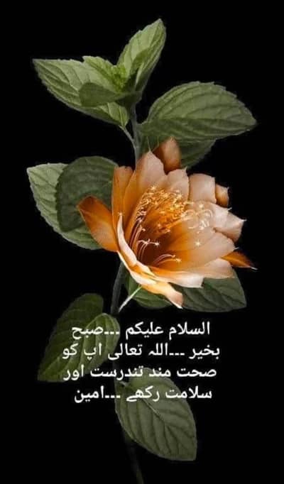 Ghr k lye drivr ke zarort hai