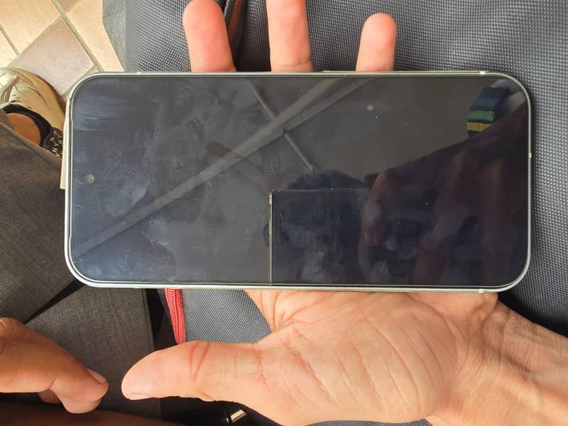 Google Pixel 9 1