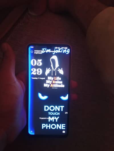 Nubia v 80 max