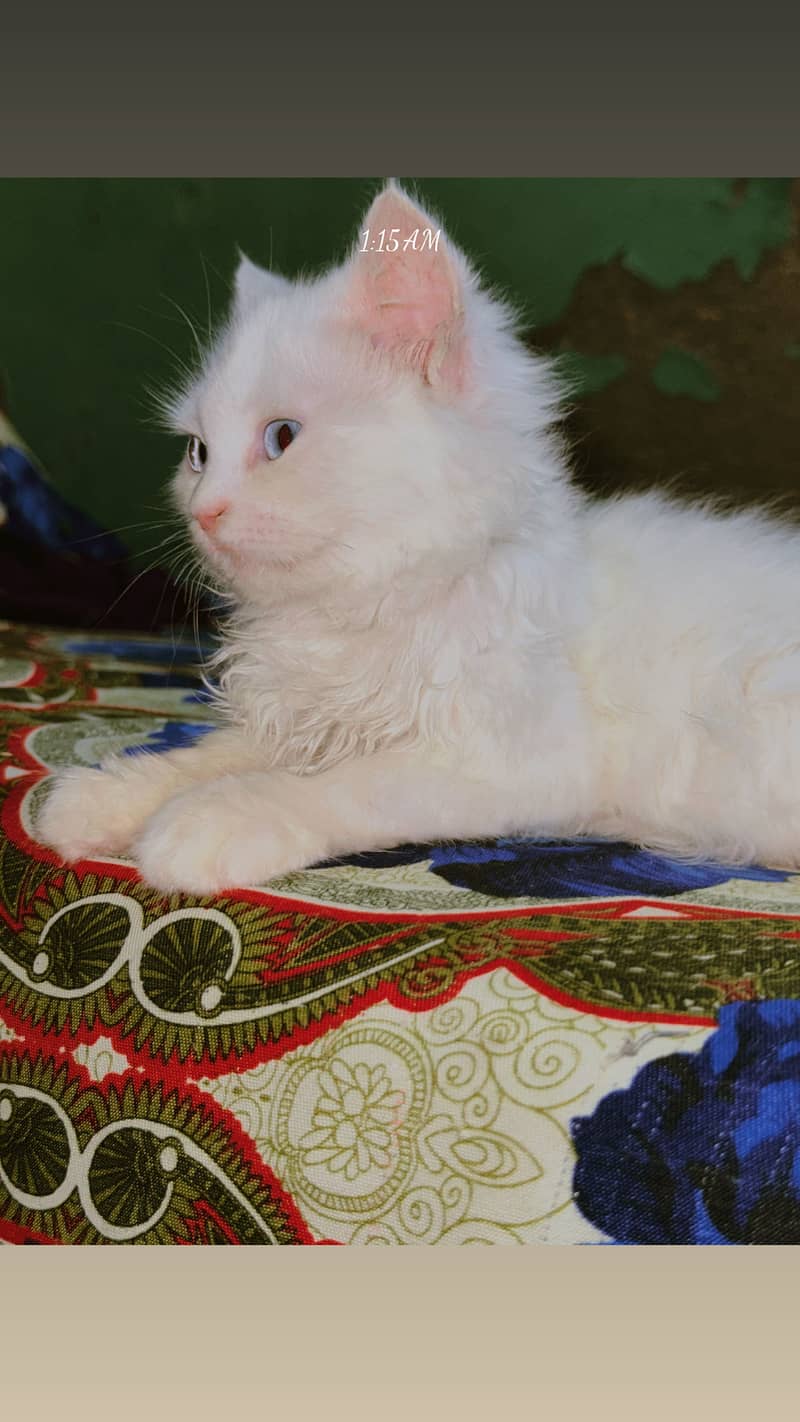 Kitan 4