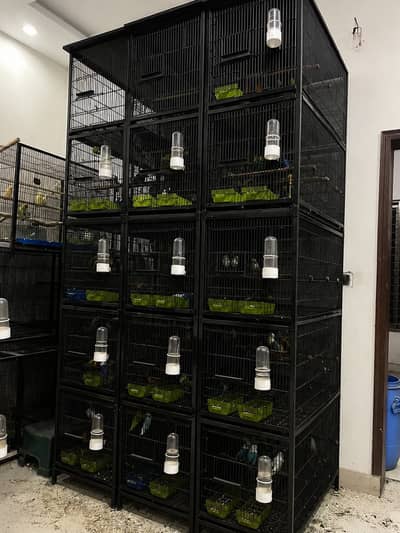 Premium 5-Portion Bird Cage with heavy wire –Per Cage  Only Rs. 20,00