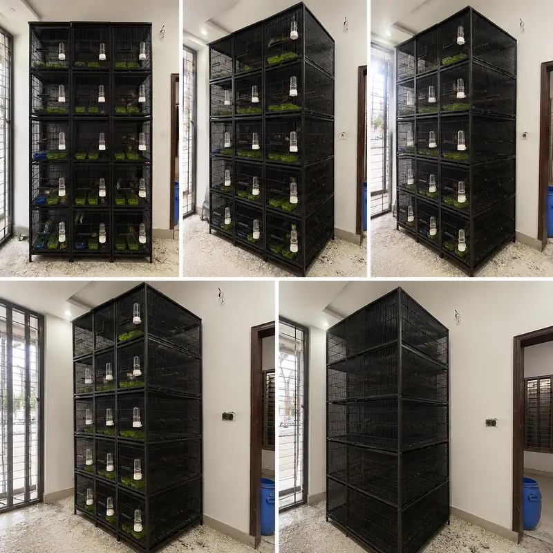 Premium 5-Portion Bird Cage with heavy wire –Per Cage  Only Rs. 20,00 — photo 2