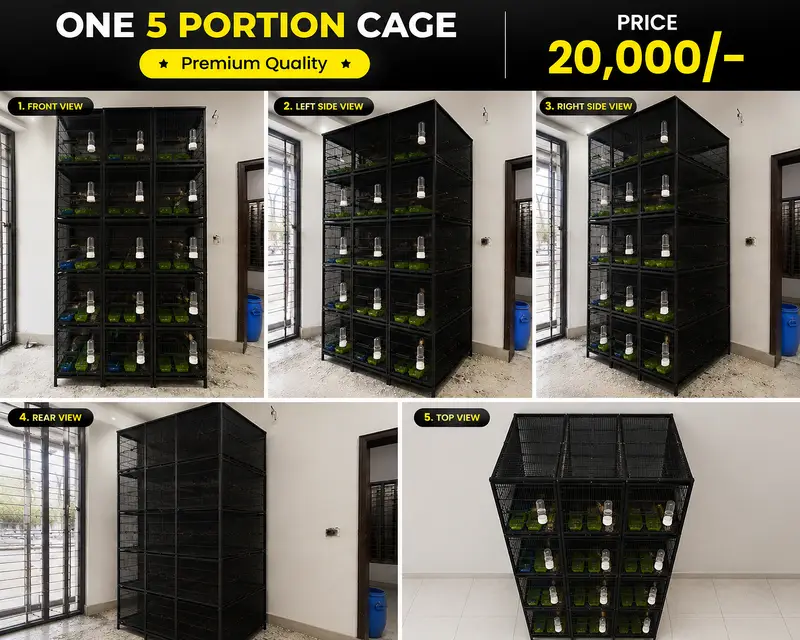 Premium 5-Portion Bird Cage with heavy wire –Per Cage  Only Rs. 20,00 — photo 3