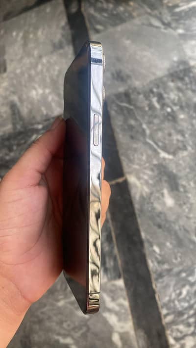 Apple iPhone 13 Pro Max 128