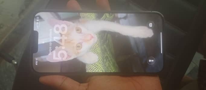 Apple iPhone 13 Pro Max what's app number (03262613848)