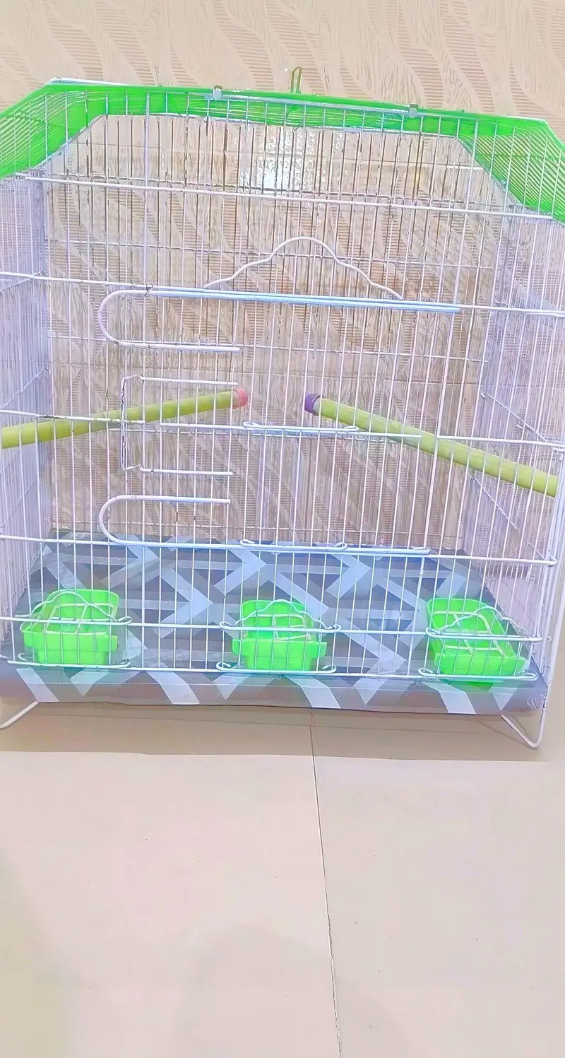 Urgent sell Big cage with Bird — photo 2