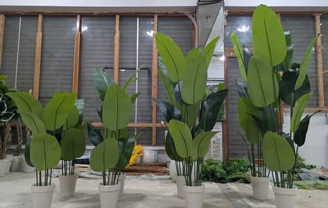 Banana Artificial Plant Rubber Stuff (Feet 5.5, 4.7, 4, 3.3) 4 pcs set