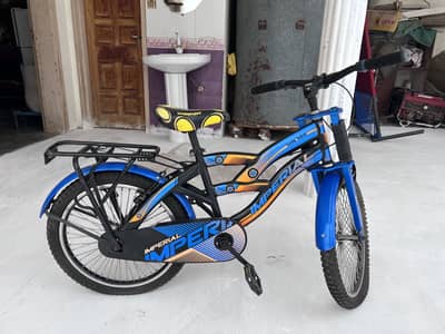 All ok cycle