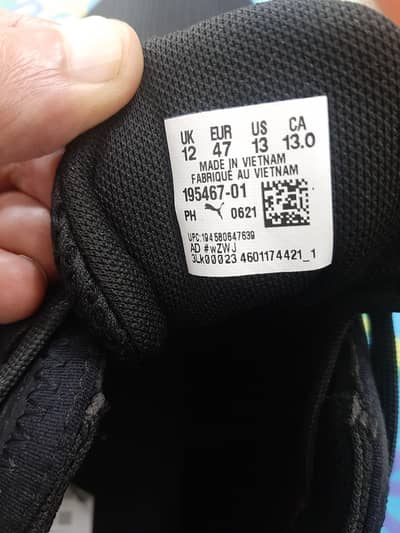 Puma orignal