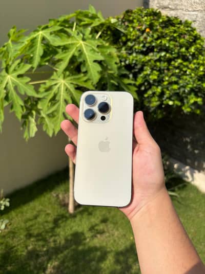 Golden iPhone 14 Pro PTA 100 health