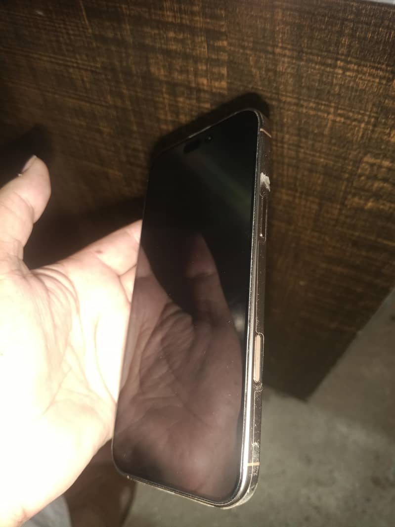 Apple iPhone 16 Pro Max 1