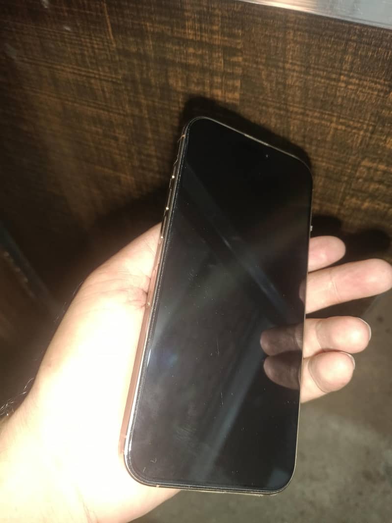 Apple iPhone 16 Pro Max 2