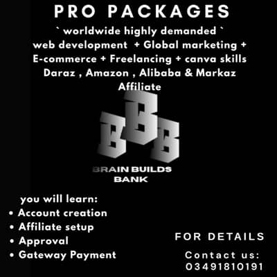 Online working, web development, pro skills , Brain Builds bank