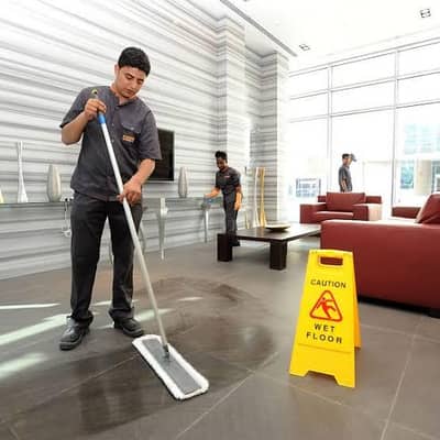 Need a Office Cleaner