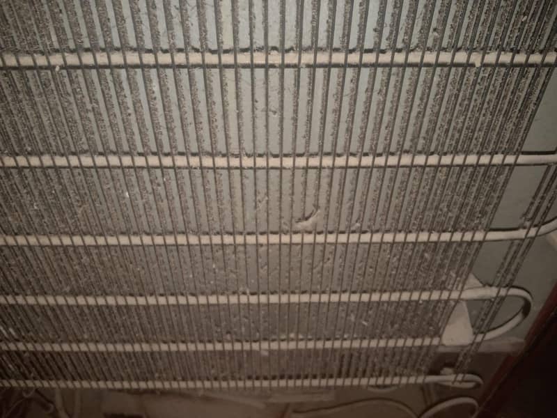 waves refrigerator 4
