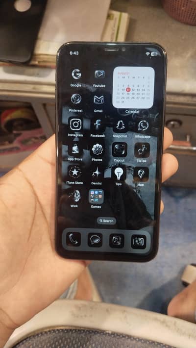 Apple iPhone X