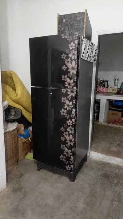 Haier full size fridge glass door h all jenwan condition 10by10