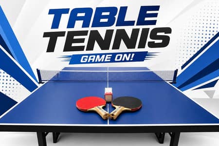 Professional Table Tennis Table with 2 Rackets & Net