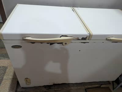 waves freezer