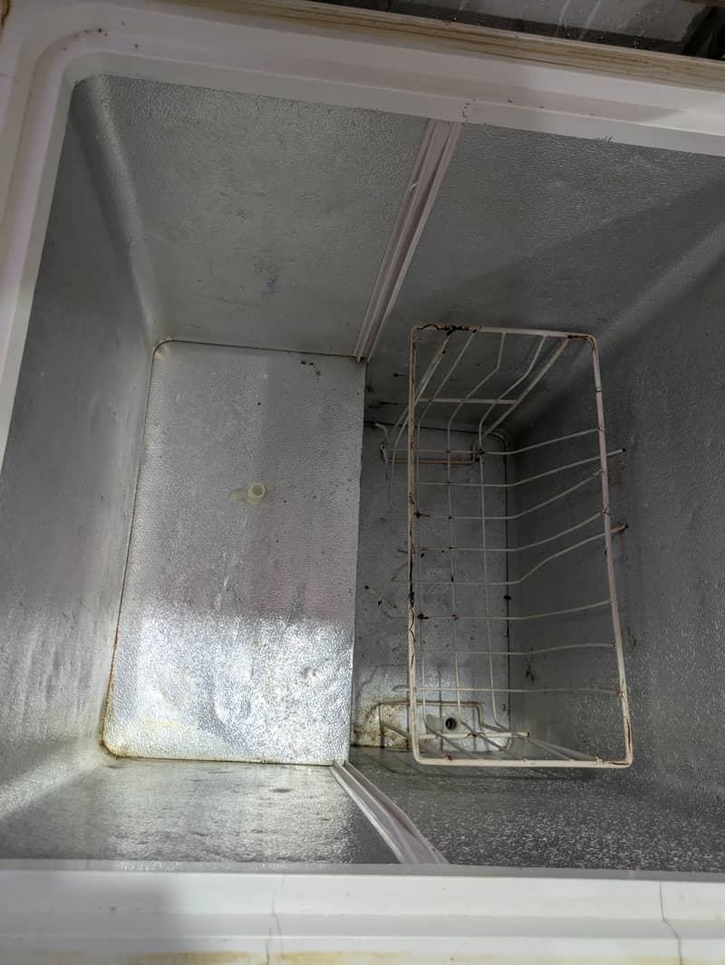 waves freezer 4