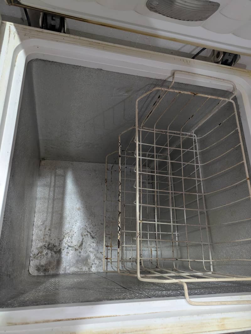 waves freezer 5