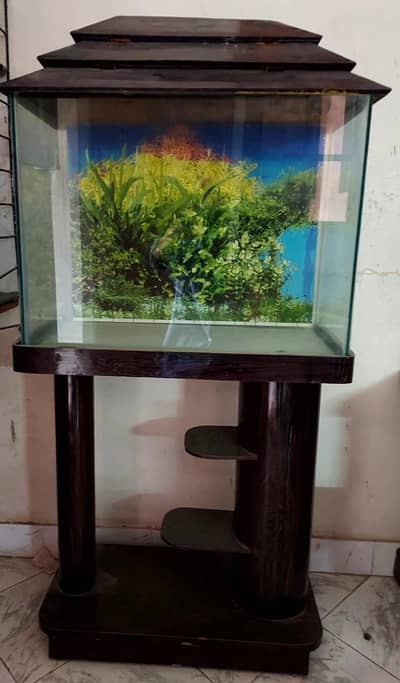 Fish Aquarium with Table