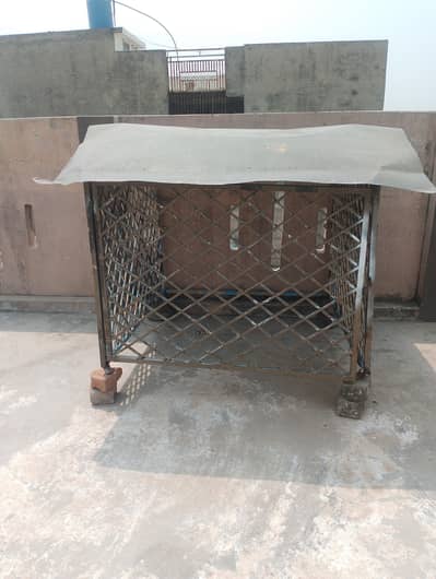 jenarator jangla